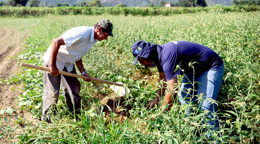 Atlas do Espaço Rural retrata diversidade e desigualdade do campo brasileiro