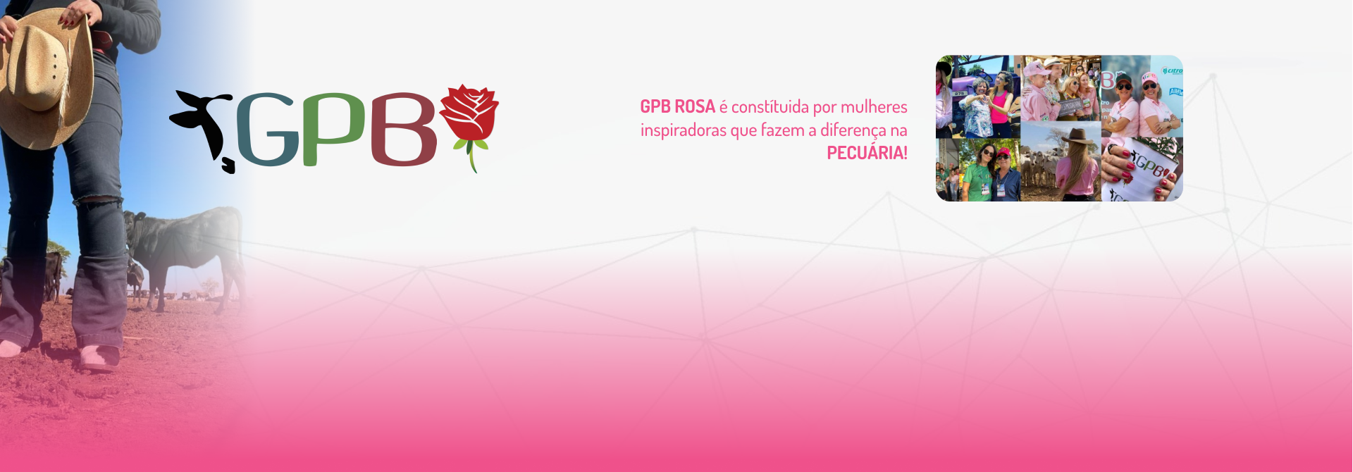 GPB Rosa
